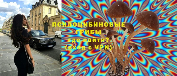 spice Абинск