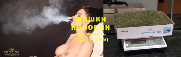прущая мука Няндома