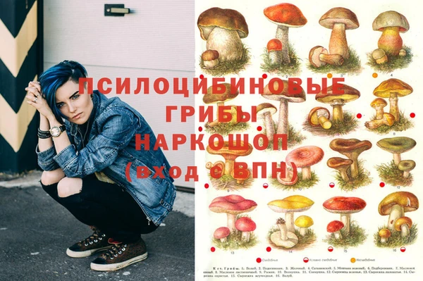 ECSTASY Абаза