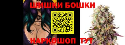 прущие крисы Обь