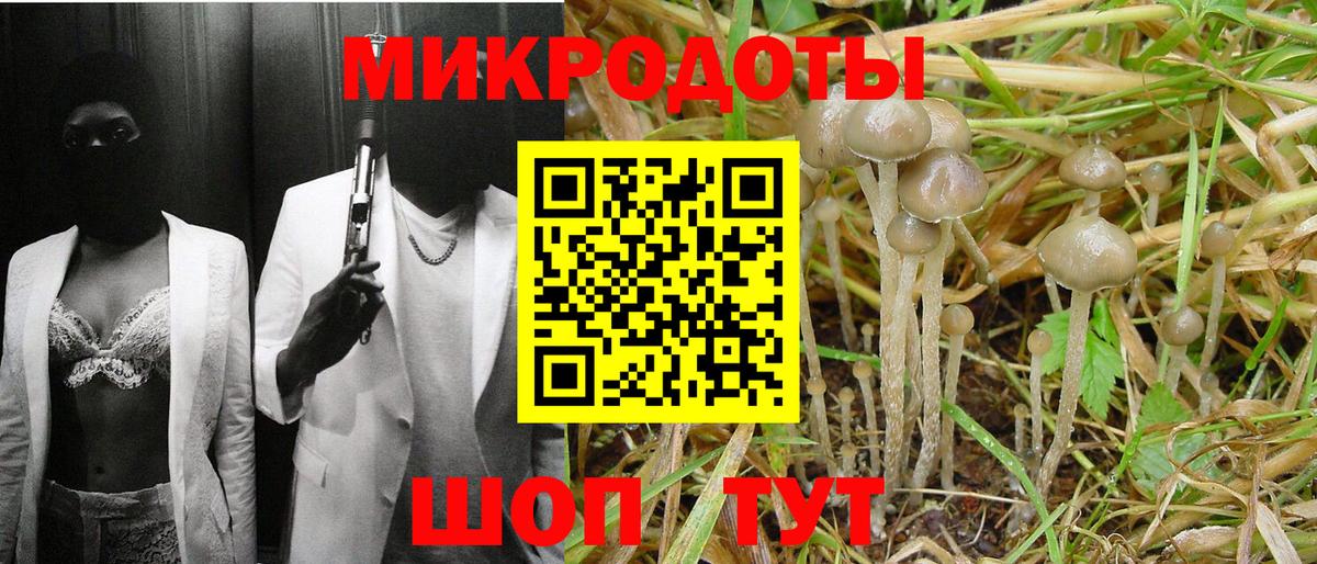 Южноуральск  где купить наркоту  Вход с VPN  Псилоцибиновые грибы Cubensis 
