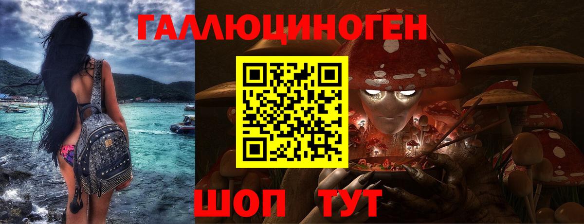 Галлюциногенные грибы Psilocybe Южноуральск